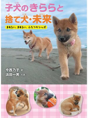 cover image of 子犬のきららと捨て犬・未来-まあるい、まあるい、ふたつのシッポ